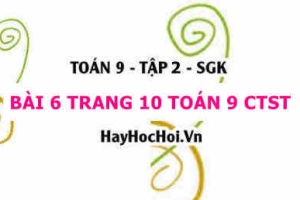 Bài 6 trang 10 Toán 9 tập 2 Chân trời sáng tạo